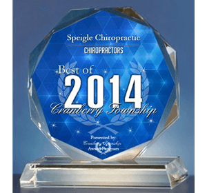 Chiropractic Cranberry Township PA 2014 award